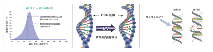 объявление (2)