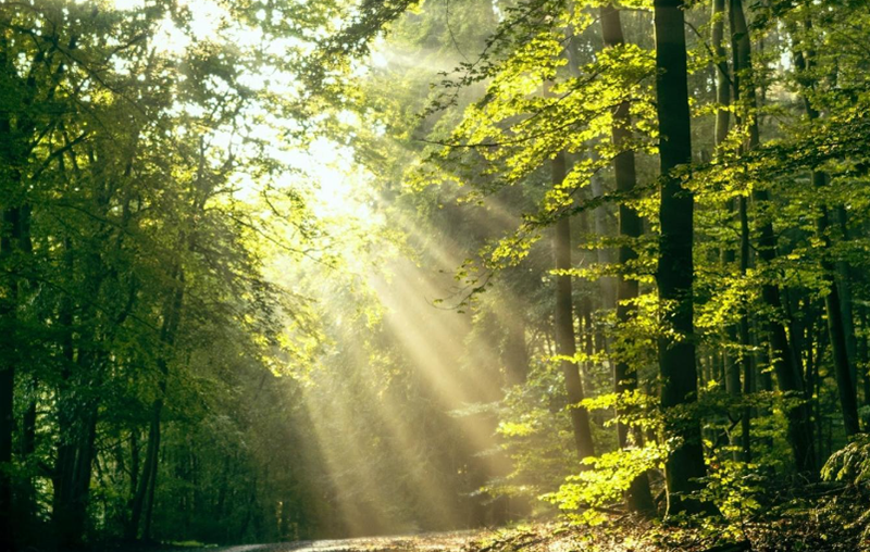 Что такое УЛЬТРАФИОЛЕТОВЫЙ фотокатализ1