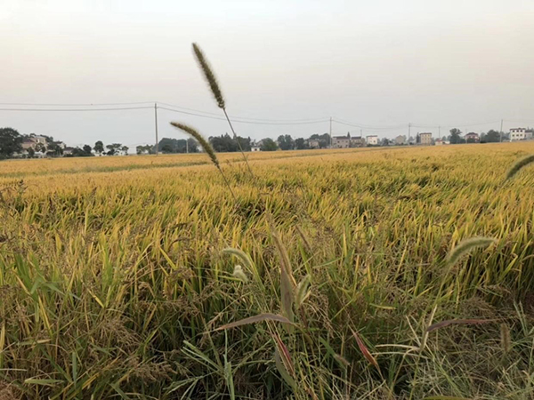 Как предотвратить распространенные осенние и зимние инфекционные заболевания1