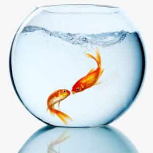 Популяризация науки