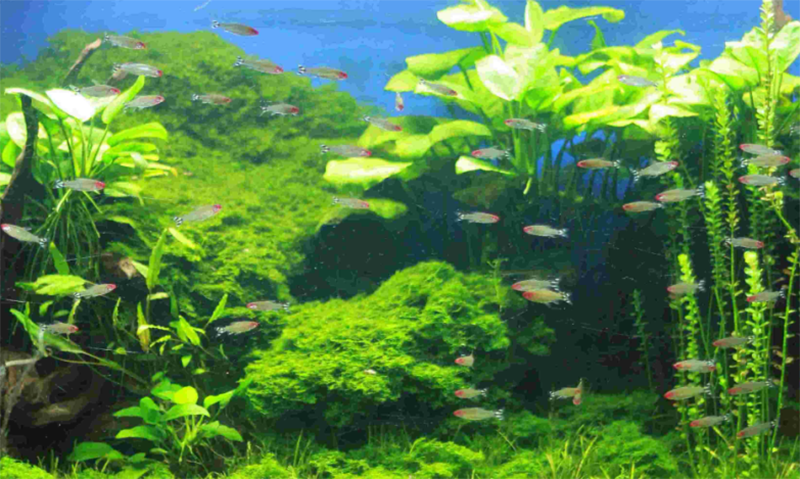 Популяризация науки2