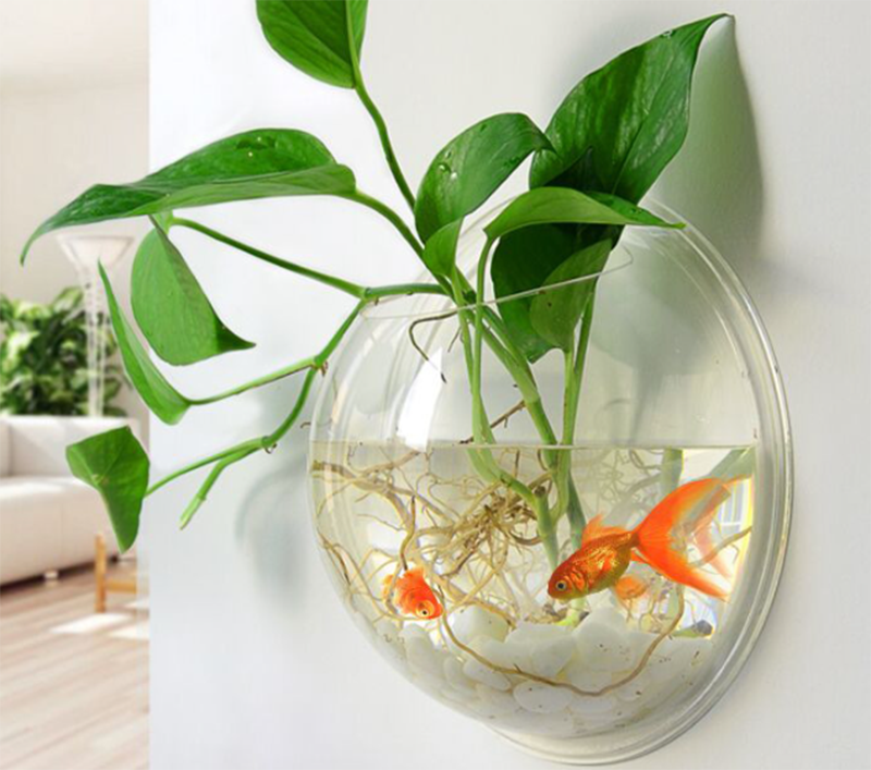 Популяризация науки3