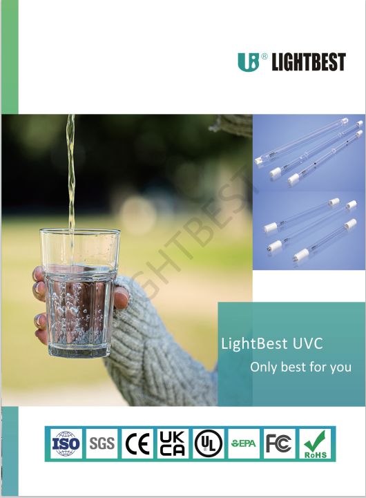 Лекционный зал Мирового Кольца2